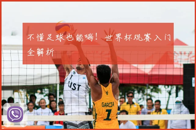 不懂足球也能嗨！世界杯观赛入门全解析