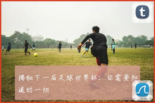 揭秘下一届足球世界杯：你需要知道的一切